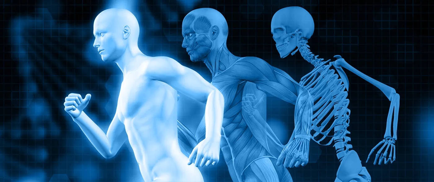 Kinesiología